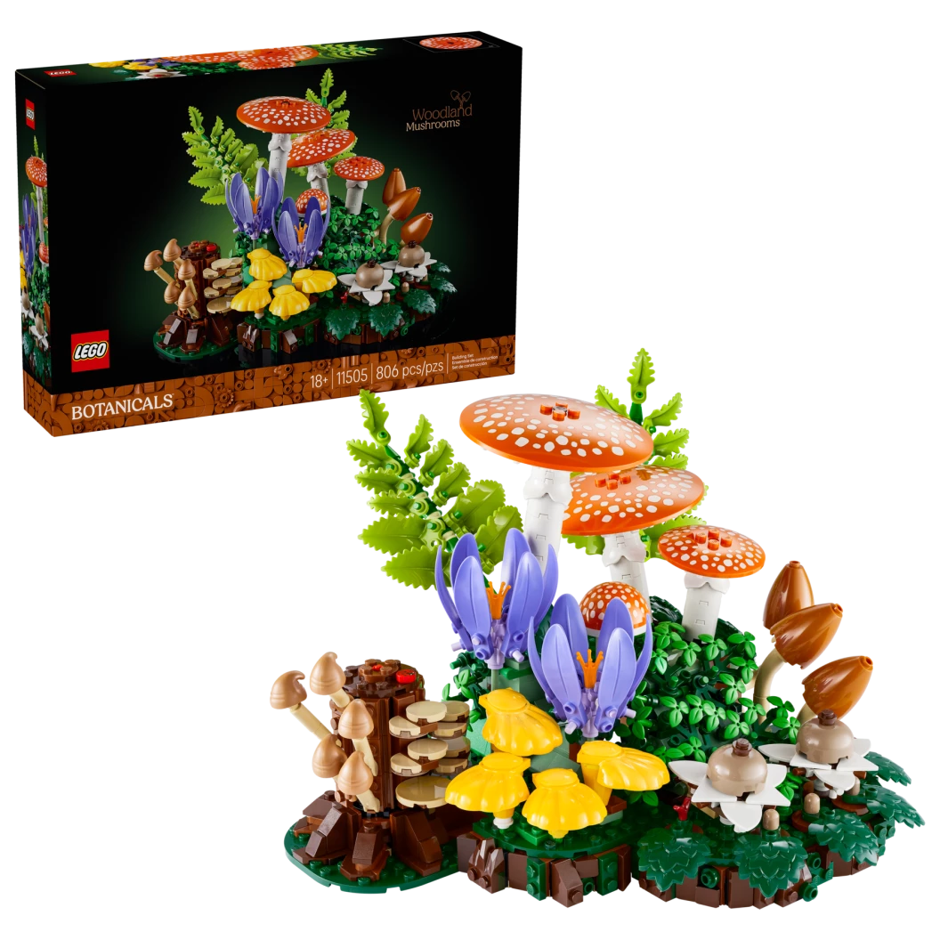 Bospaddenstoelen