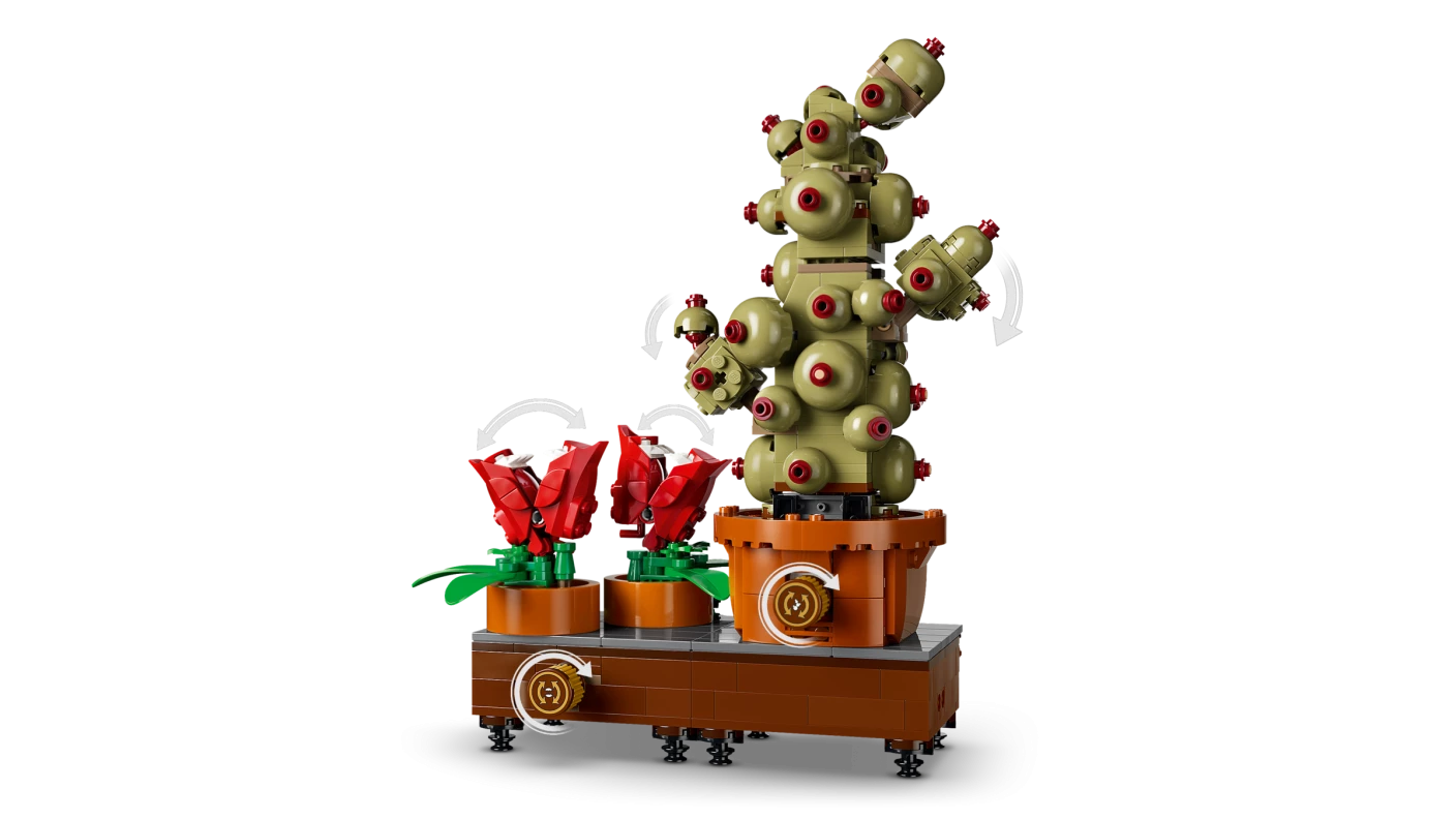 Zweinstein Kruidenkunde planten