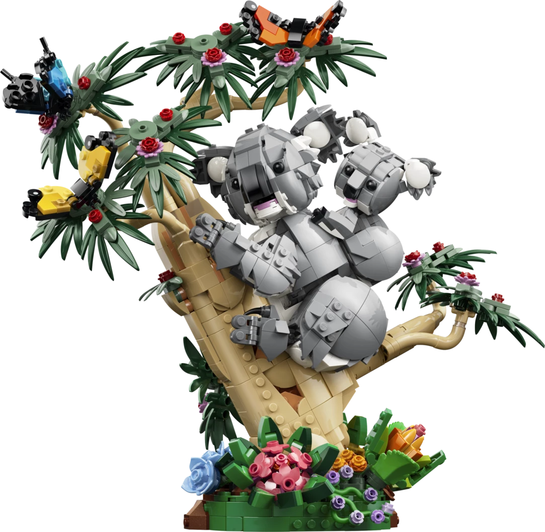 Wilde dieren: koalafamilie