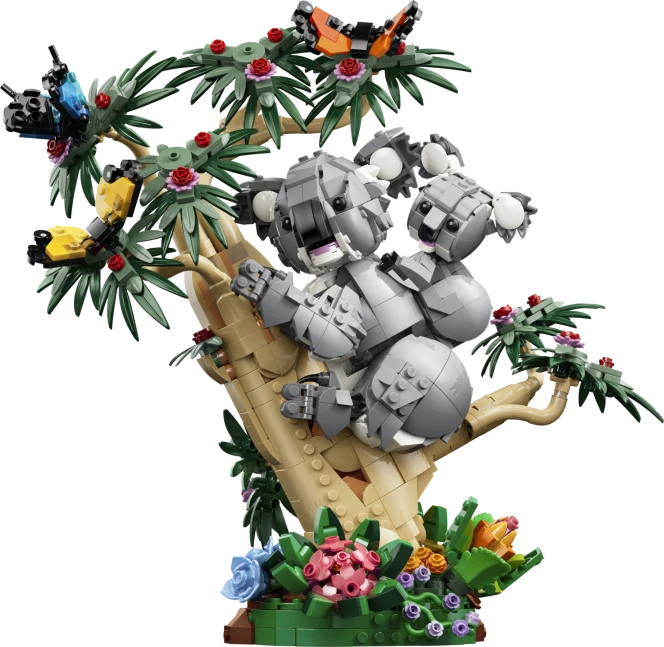 Wilde dieren: koalafamilie