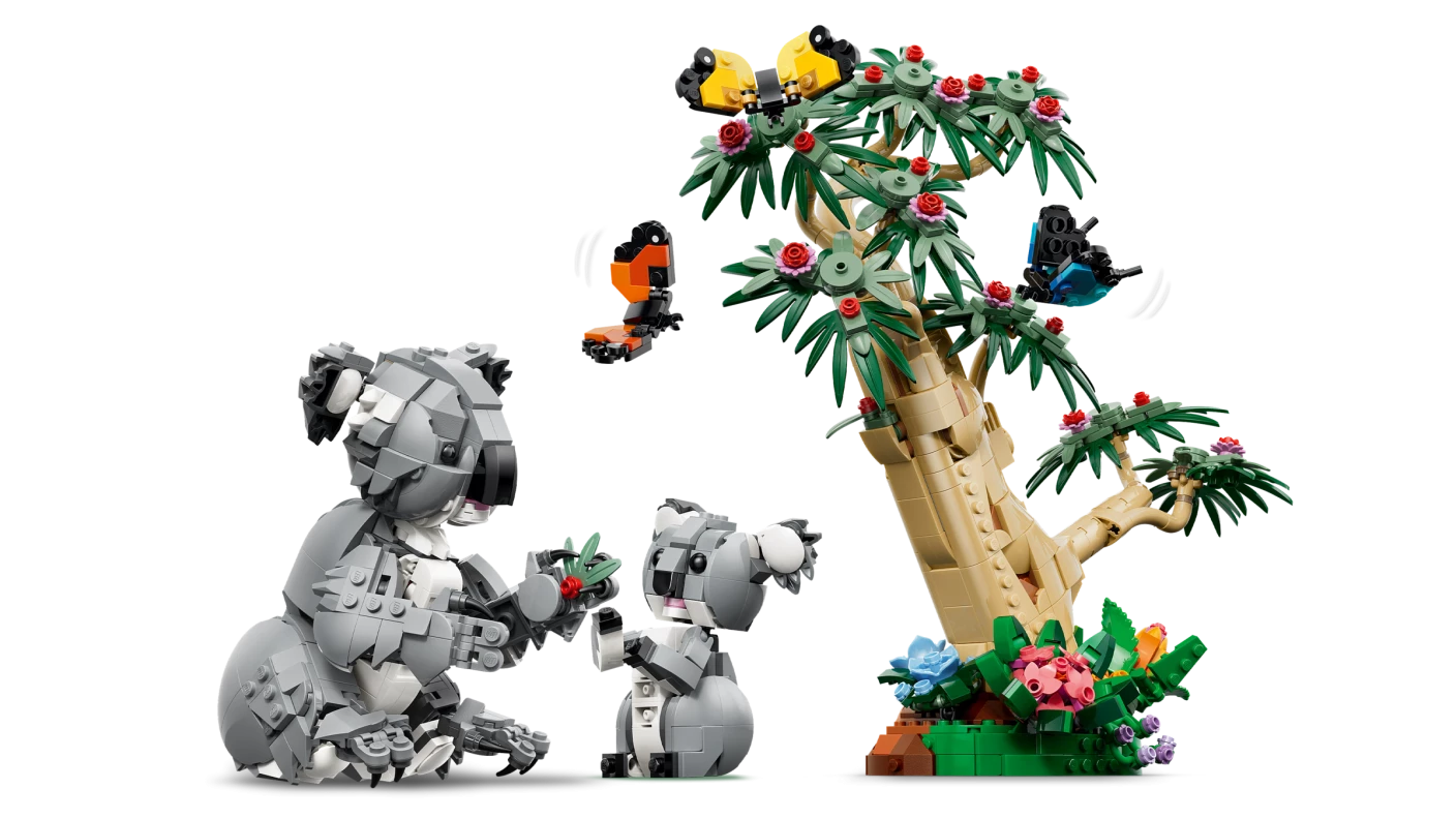Wilde dieren: koalafamilie