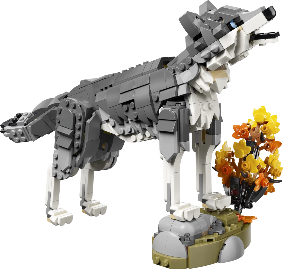 Bosdieren: grijze wolf