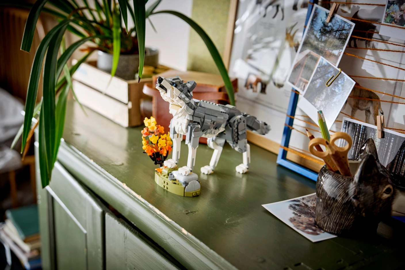 Bosdieren: grijze wolf