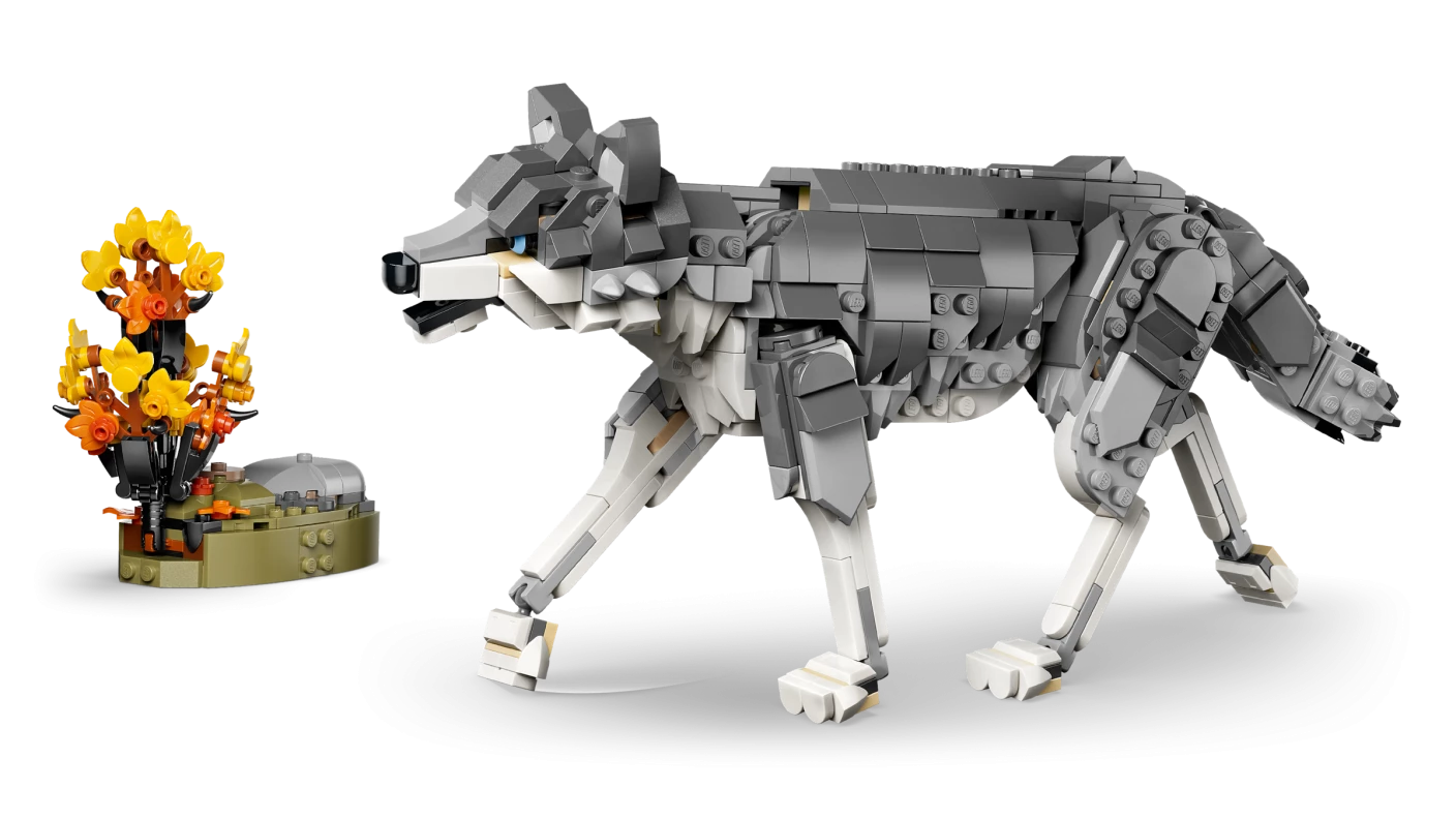Bosdieren: grijze wolf