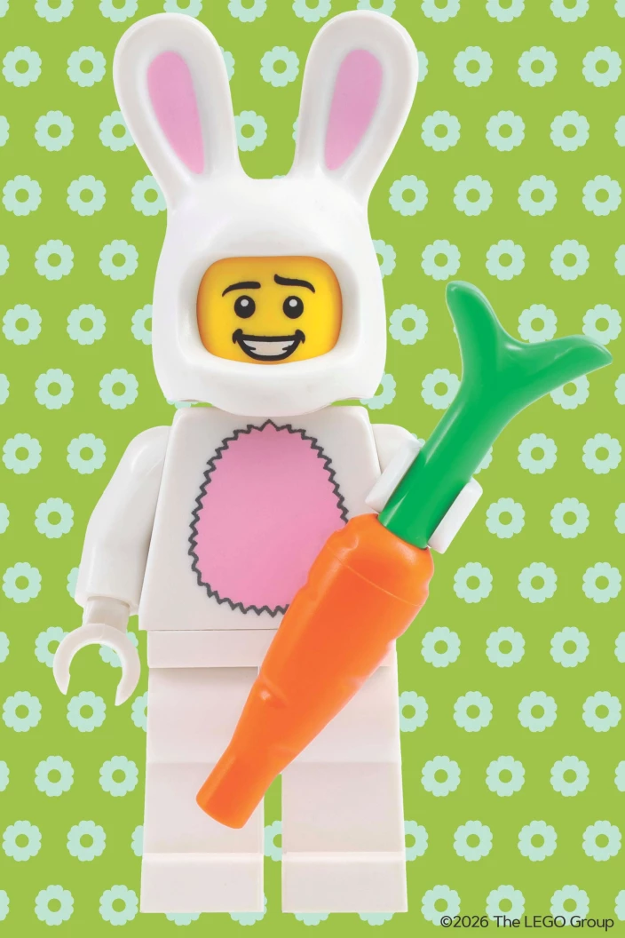 Geheime minifiguur minipuzzel (lente-editie)