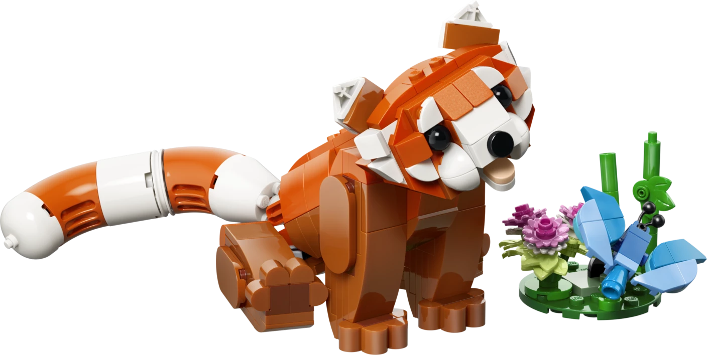 Schattige dieren: rode panda