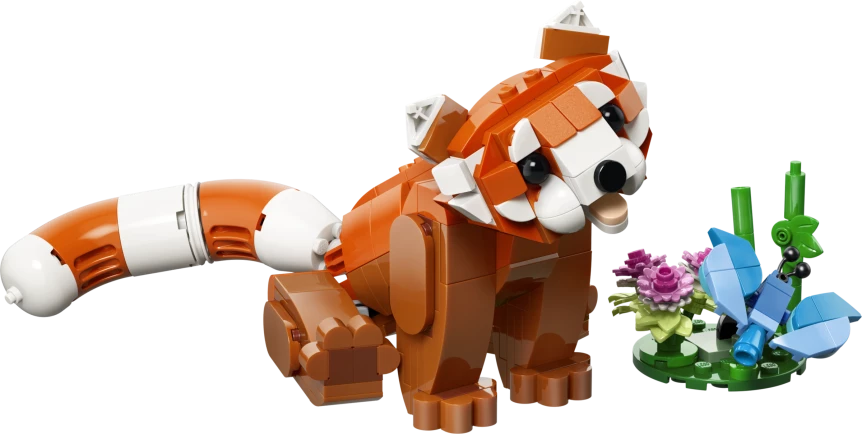 Schattige dieren: rode panda