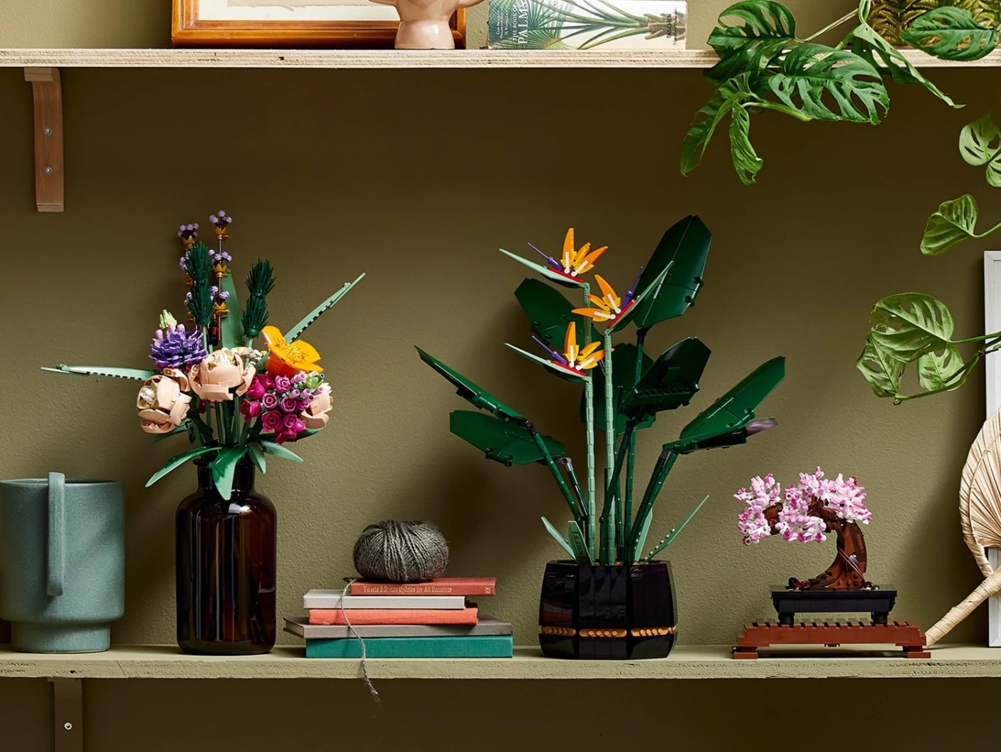 Paradijsvogelplant