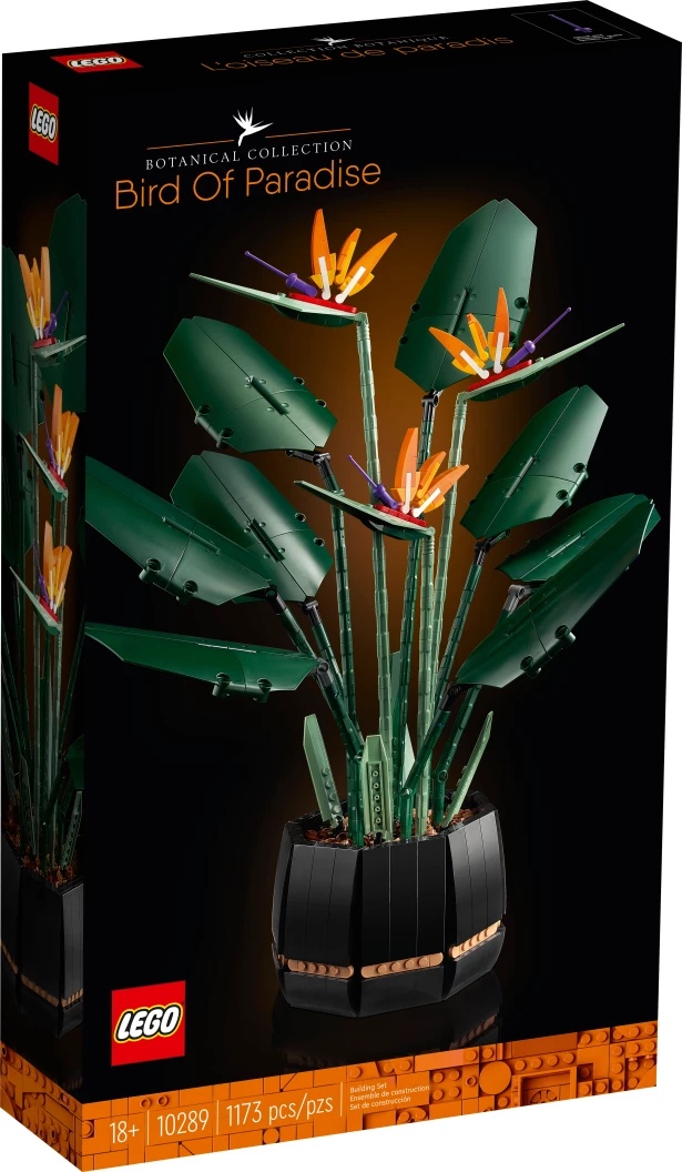 Paradijsvogelplant