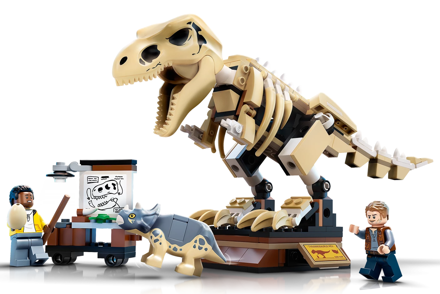 Tentoonstelling dinosaurusfossiel van T. rex