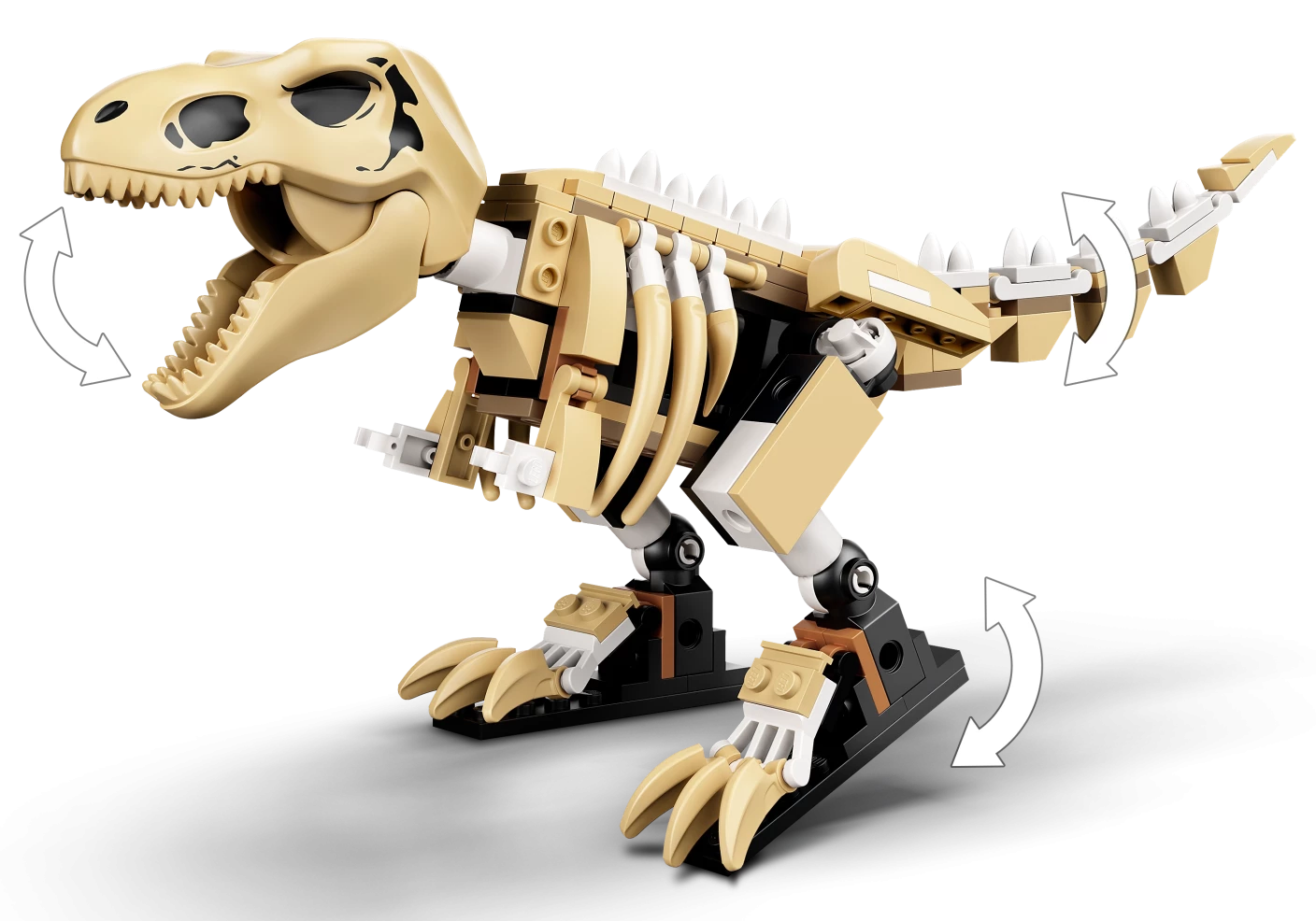 Tentoonstelling dinosaurusfossiel van T. rex