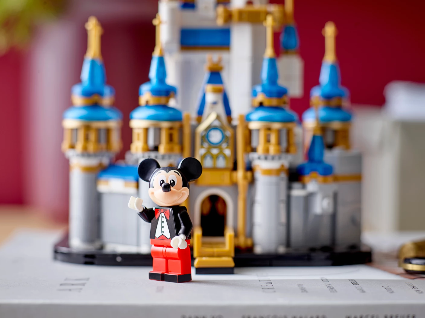 Mini Disney kasteel